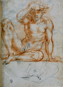 Study of a Nude Making a Shadow with His Hand by Michelangelo Buonarroti